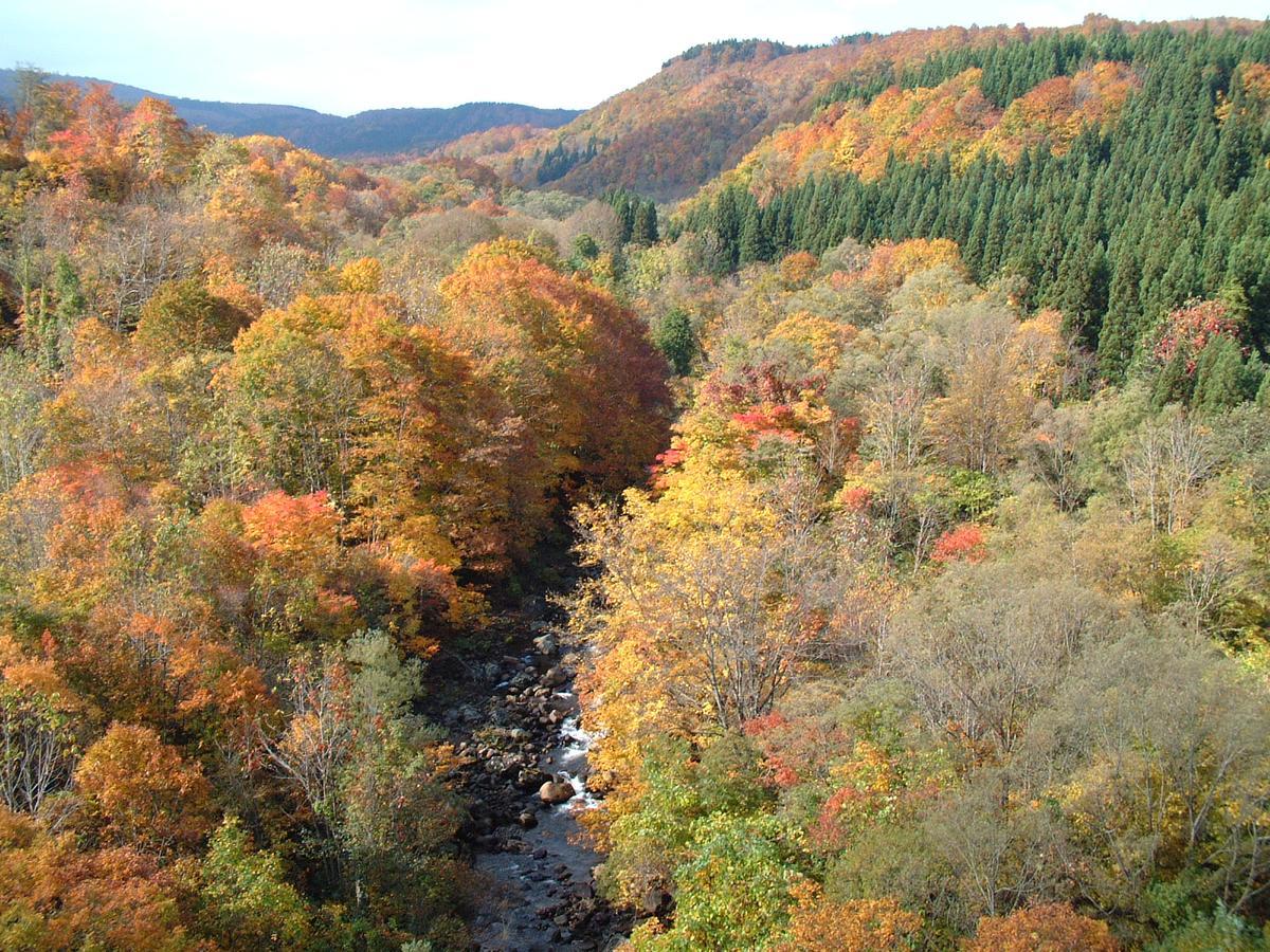 Chokai Sarukuraonsen Hotel Foresta Chokai Yurihonjo Extérieur photo